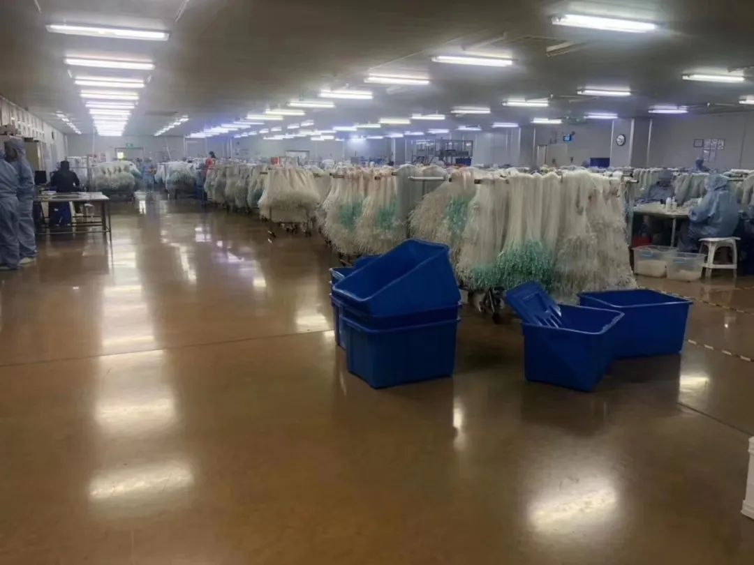 固化地坪 固化地坪